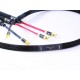 Purist Audio Design 25th Anniversary Speaker Cable
