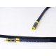 Purist Audio Design Genesis Digital RCA