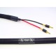 Purist Audio Design Genesis Speaker Cable