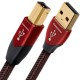 Audioquest USB Cinnamon