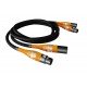 LAB 12  XLR1 