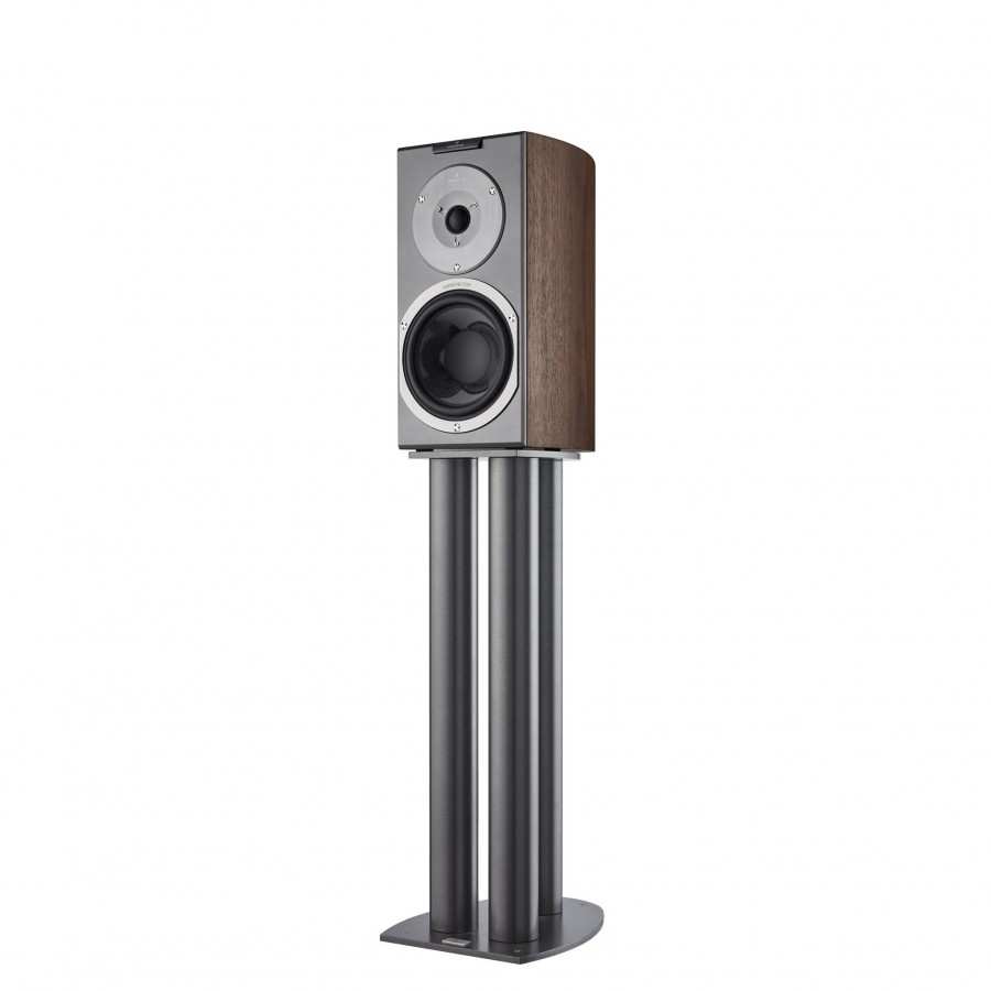Audiovector-Audiovector R1 Signature-00