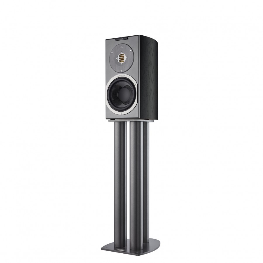Audiovector-Audiovector R1 Avantgarde-00