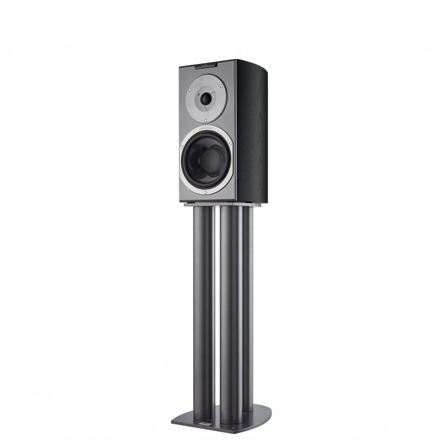 Audiovector-Audiovector R1 Signature-00