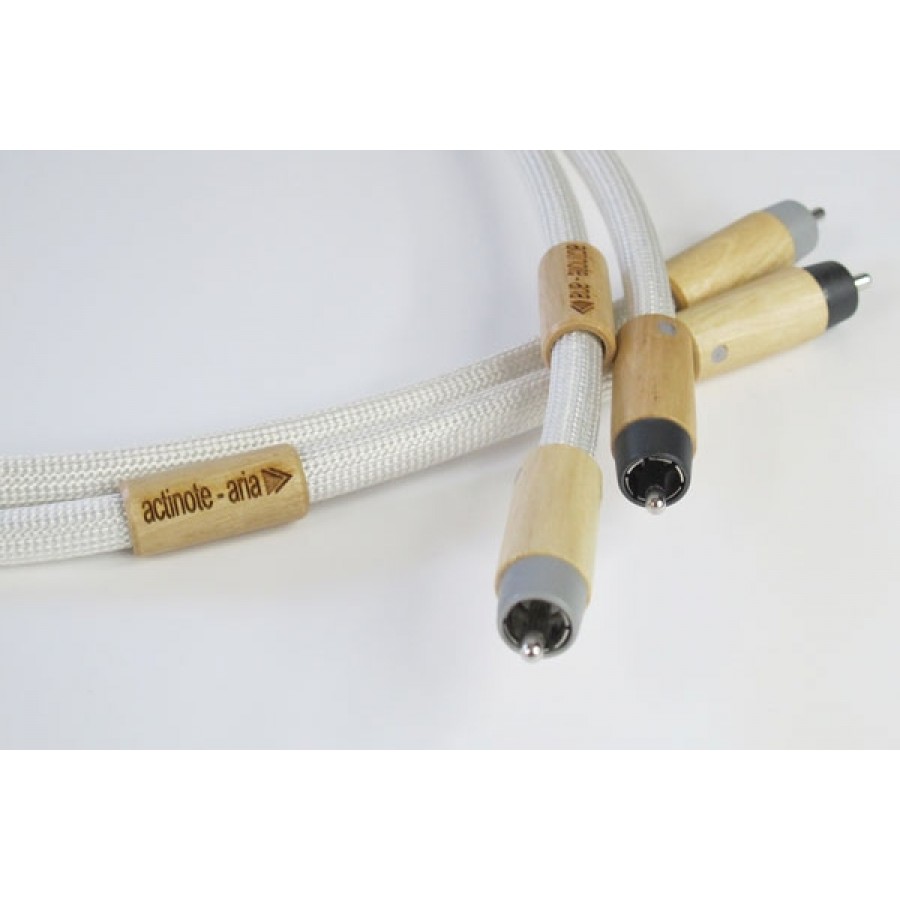 ACTINOTE-Actinote Aria RCA EVO II-00