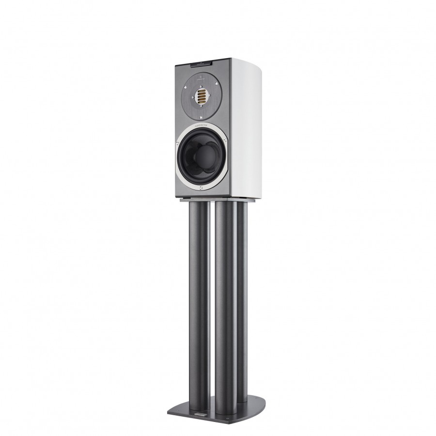 Audiovector-Audiovector R1 Avantgarde-00