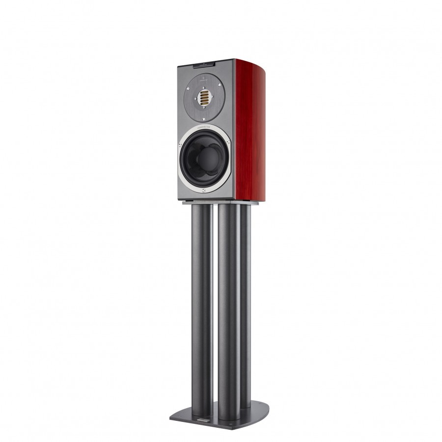 Audiovector-Audiovector R1 Avantgarde-00