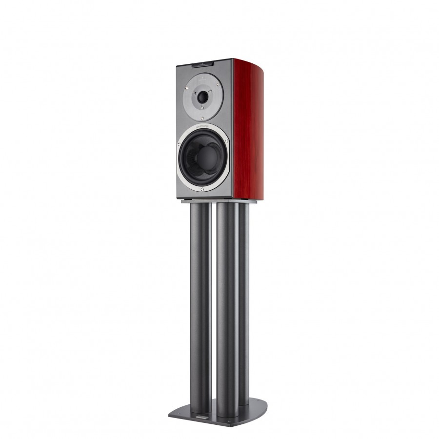 Audiovector-Audiovector R1 Signature-00