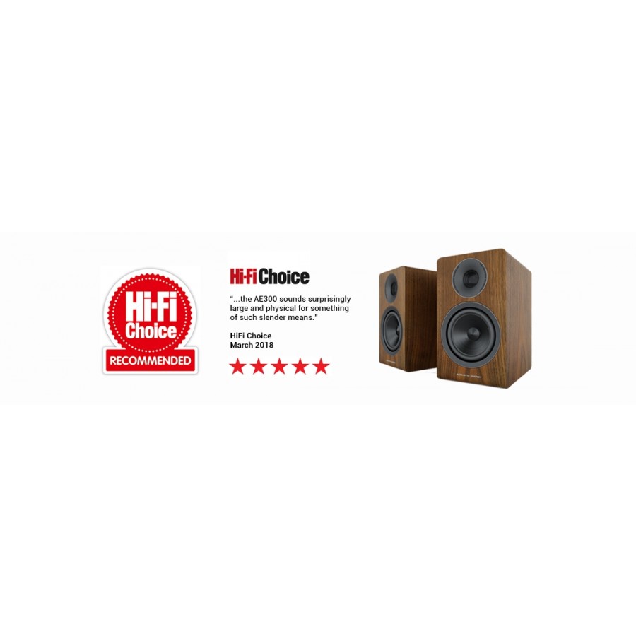 Acoustic Energy AE300