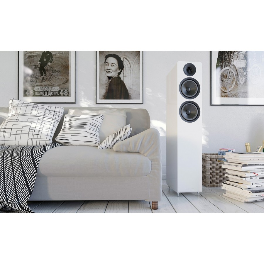 Accoustic Energy AE309