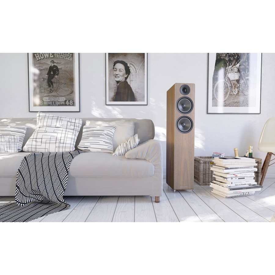 Accoustic Energy AE309