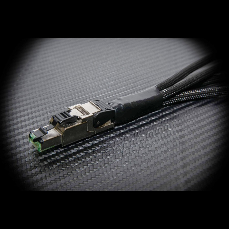 Acoustic Revive-Acoustic Revive LAN-Quadrant Triple C-00