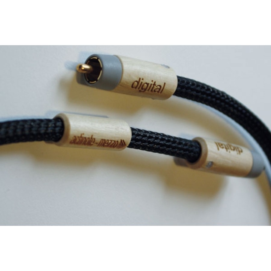 ACTINOTE-Actinote Mezzo Evo II Digit RCA-00