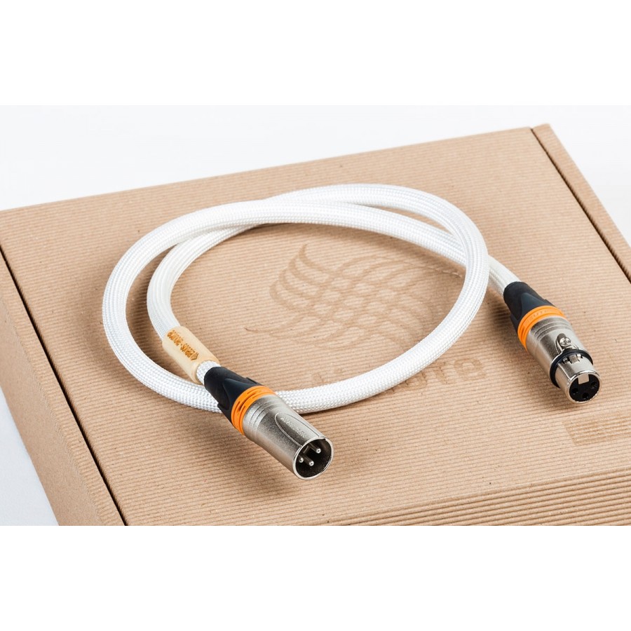 ACTINOTE-Actinote Digit Aria XLR EVO II-00