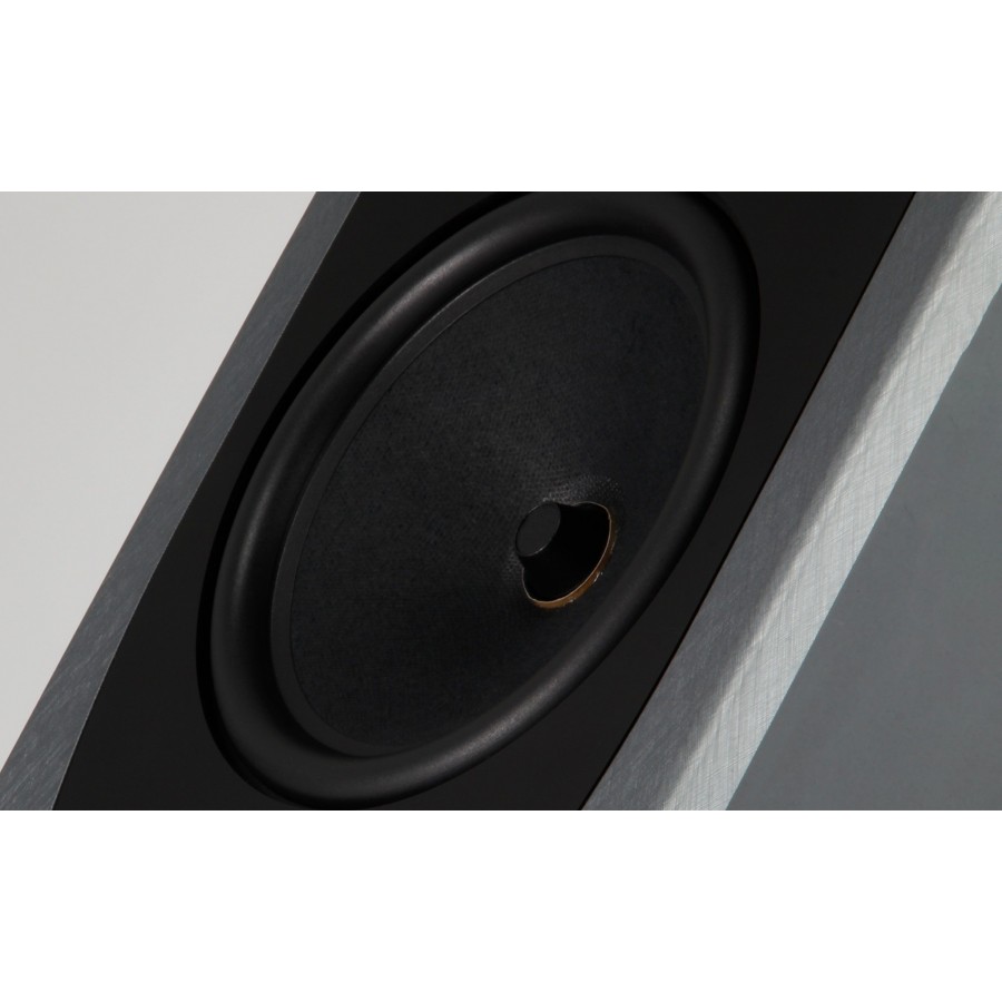 REGA-Enceinte REGA AYA-00