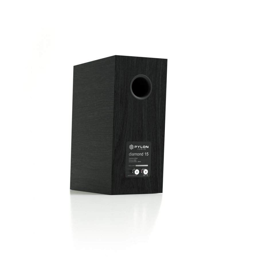 PYLON-Pylon Diamond Monitor 15 Prestige-00