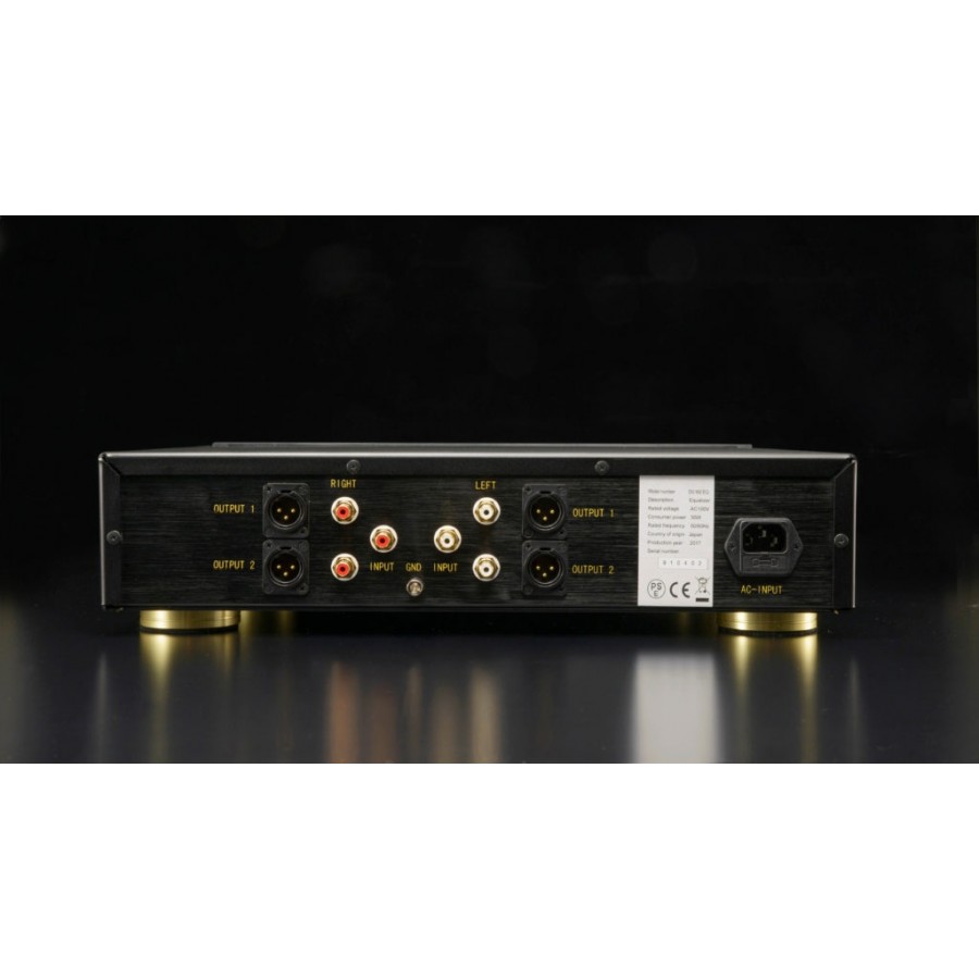 DS Audio DS-W2 et DS-W2 EQ