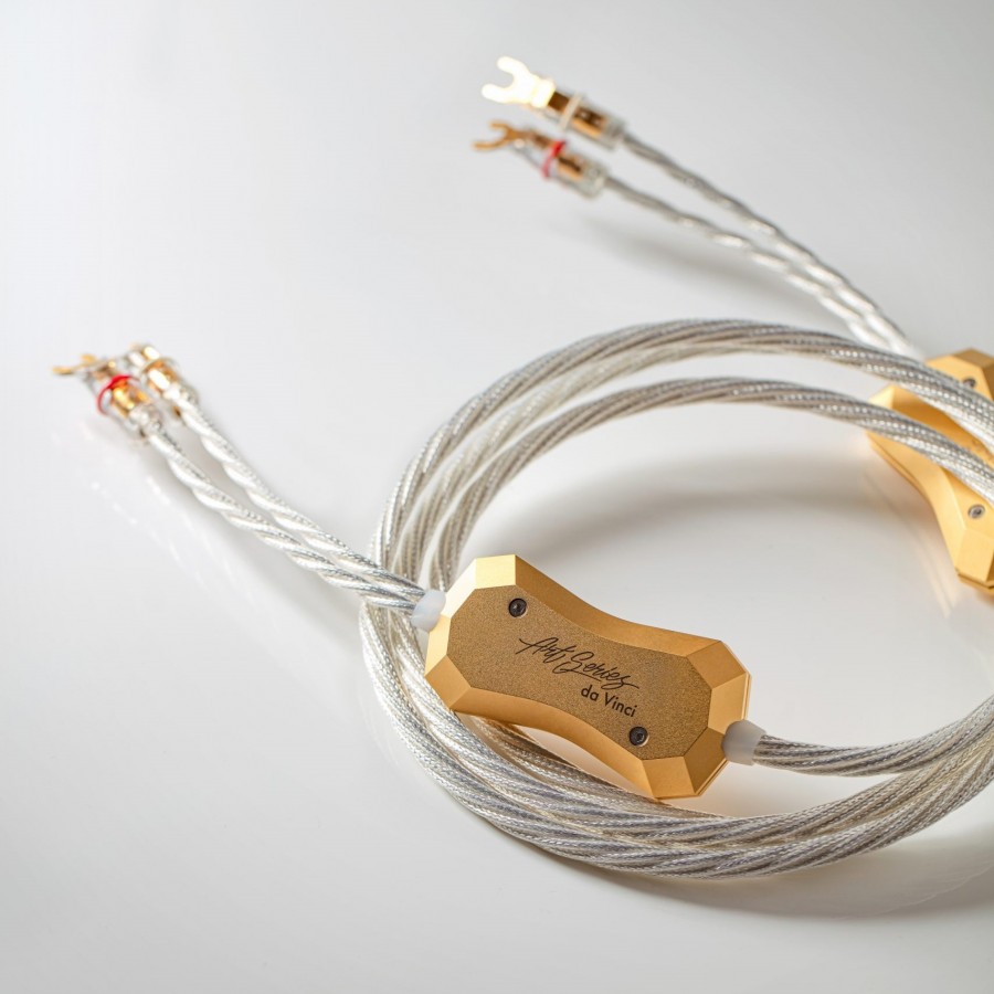 Crystal Cable-Crystal Cable Da Vinci Speaker-00