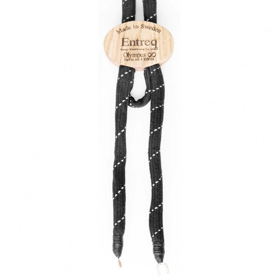 Entreq-Entreq Olympus Speaker Cable-00
