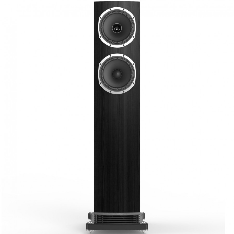 Fyne Audio F501