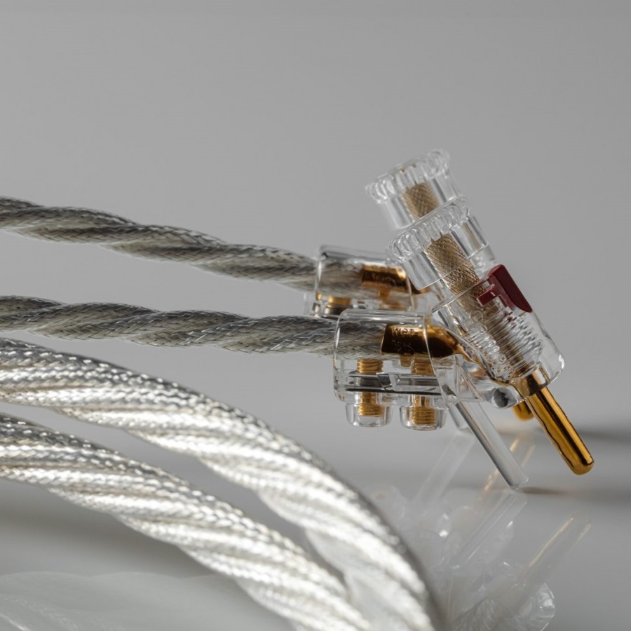 Crystal Cable-Crystal Cable Van Gogh Speaker-00