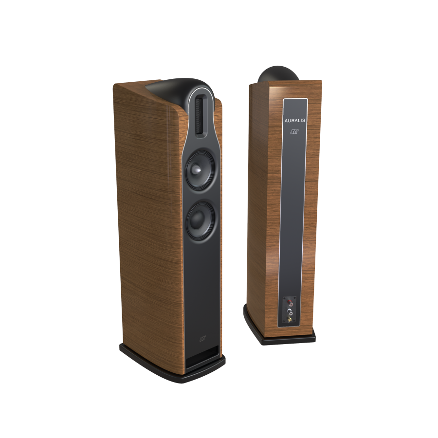 Jean-Marie Reynaud-JMR Auralis-01