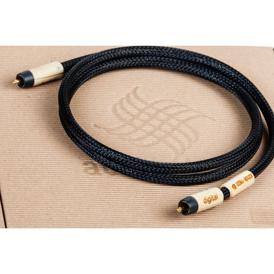 ACTINOTE-Actinote Mezzo Evo II Digit RCA-00