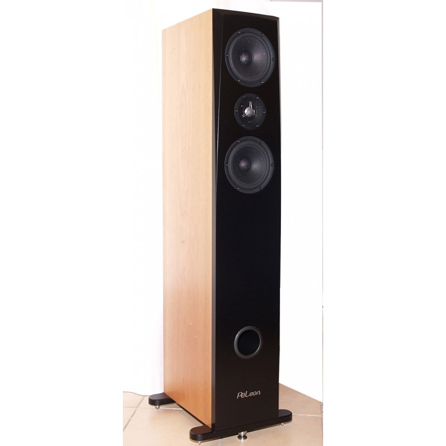 Pe leon thesis 05 image