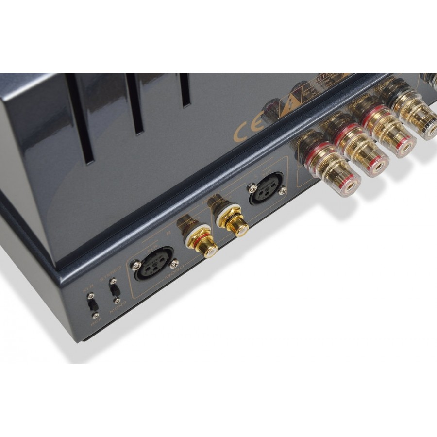 PrimaLuna-PrimaLuna EVO 300 Tube Poweramplifier-00