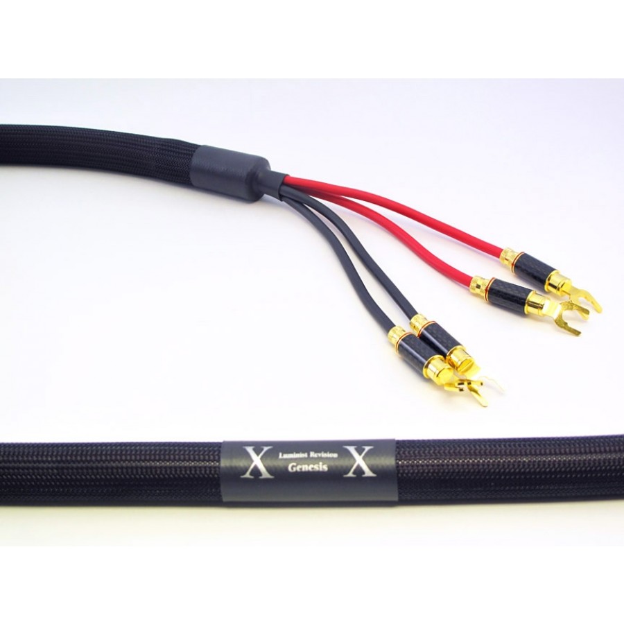 Purist Audio Design Genesis Speaker Cable câbles hp et straps chez E&M
