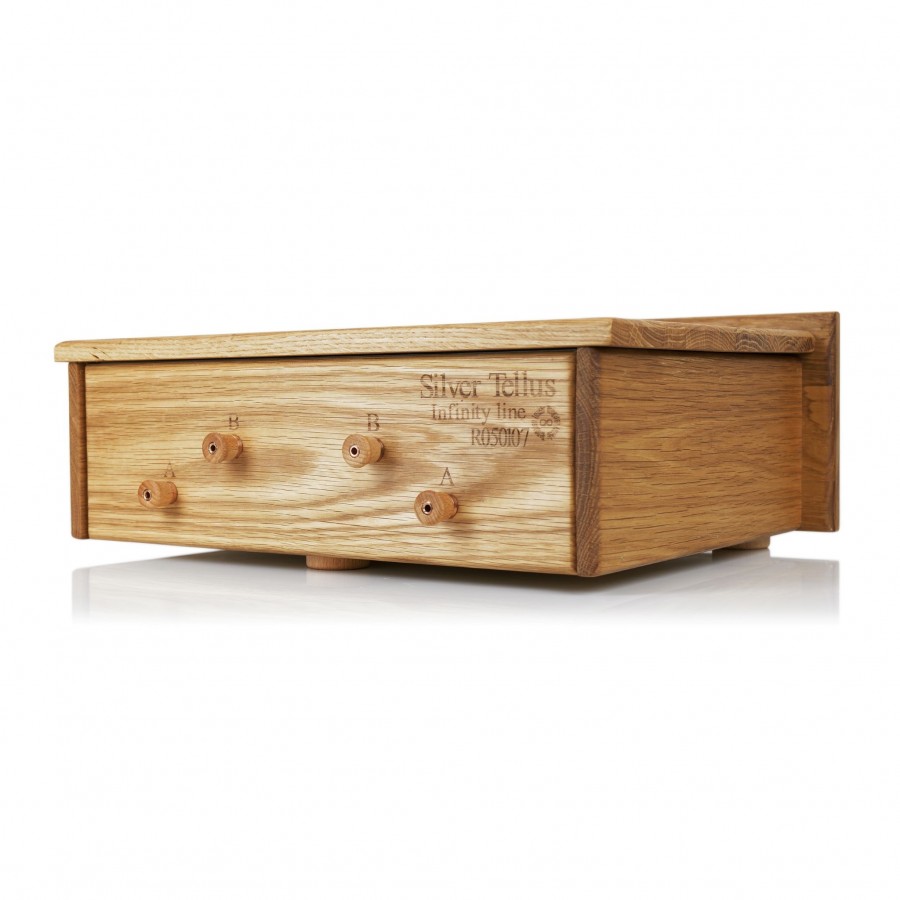 Entreq-Entreq Silver Tellus Tungsten Ground Box-00