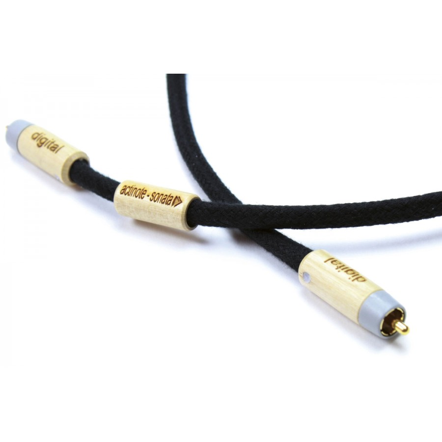ACTINOTE-Actinote Sonata Digit XLR EVO II-00