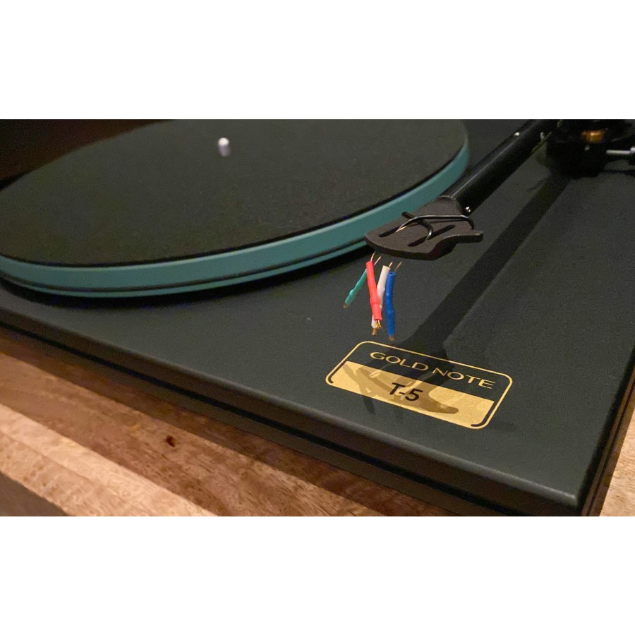 Gold Note-Gold Note Valore T-5 noir-00