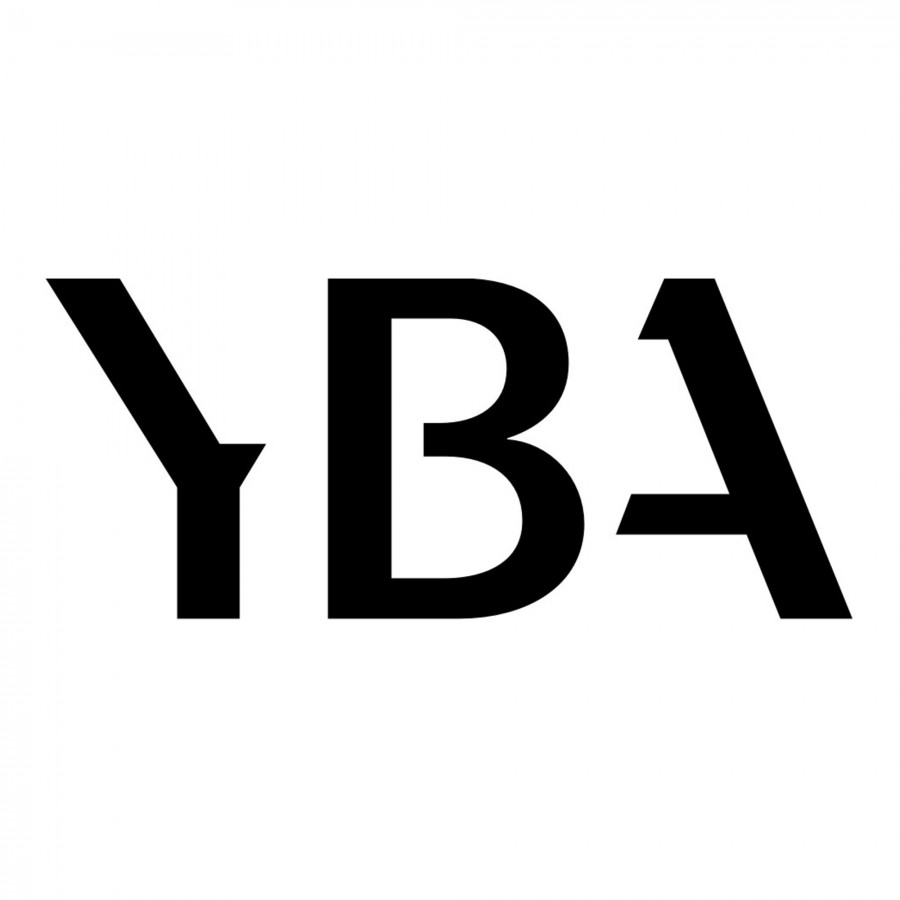 YBA-YBA Câble Secteur Diamond-30
