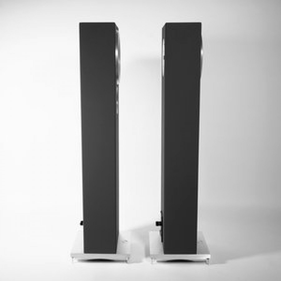 ZU Audio enceintes Druid MKVI