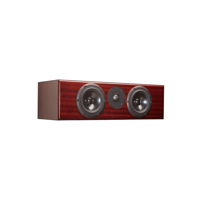 Totem Acoustic Rainmaker Center