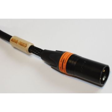 Actinote Mezzo Evo II Digit XLR