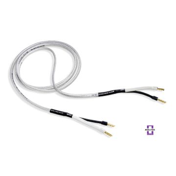 ANALYSIS PLUS Silver Oval 