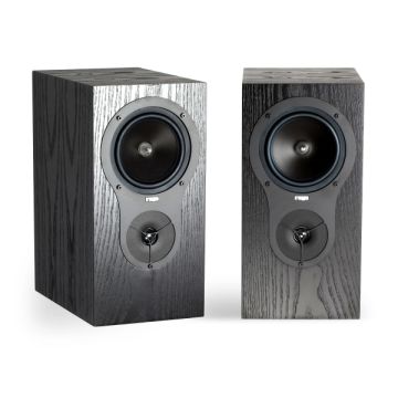 Enceinte REGA RX1