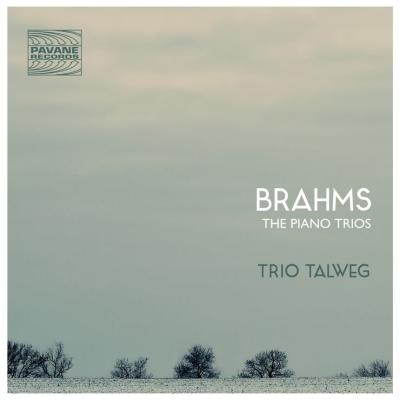 "Aimez-vous Brahms ?": alors il y a des choses pour vous à Paris ce mardi 20 mai 2014
