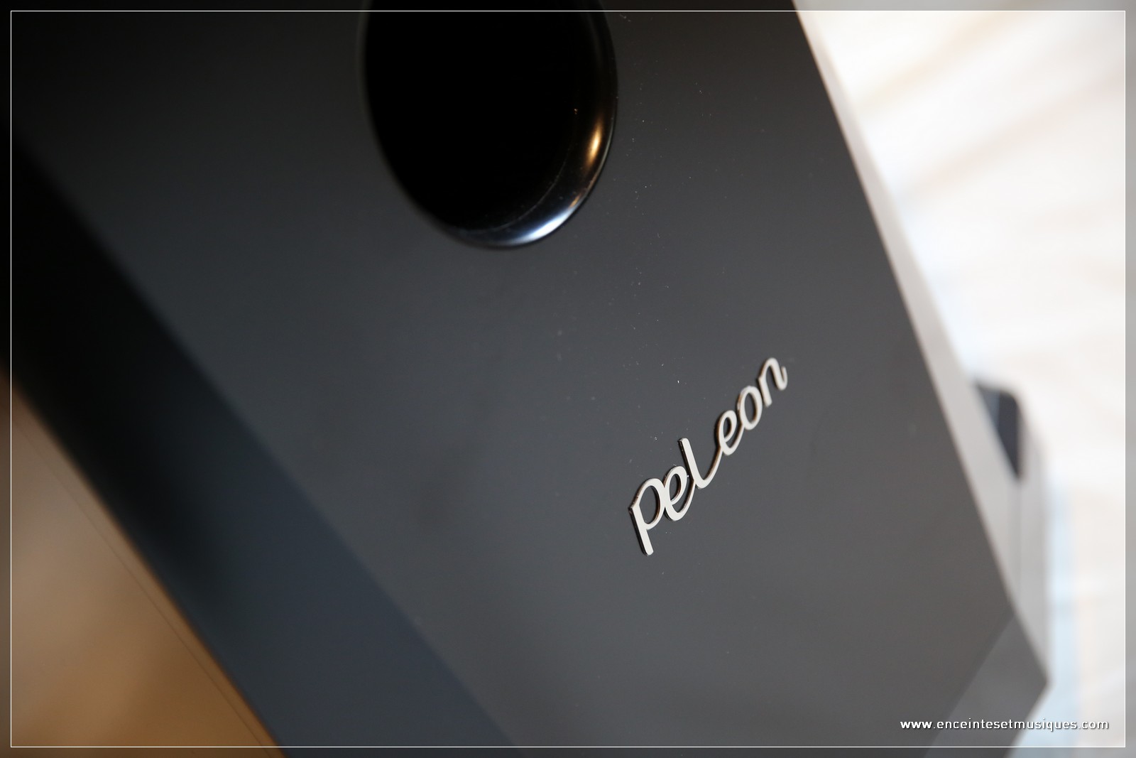 PEL_INTEGRALE_enceinte_colonne_30