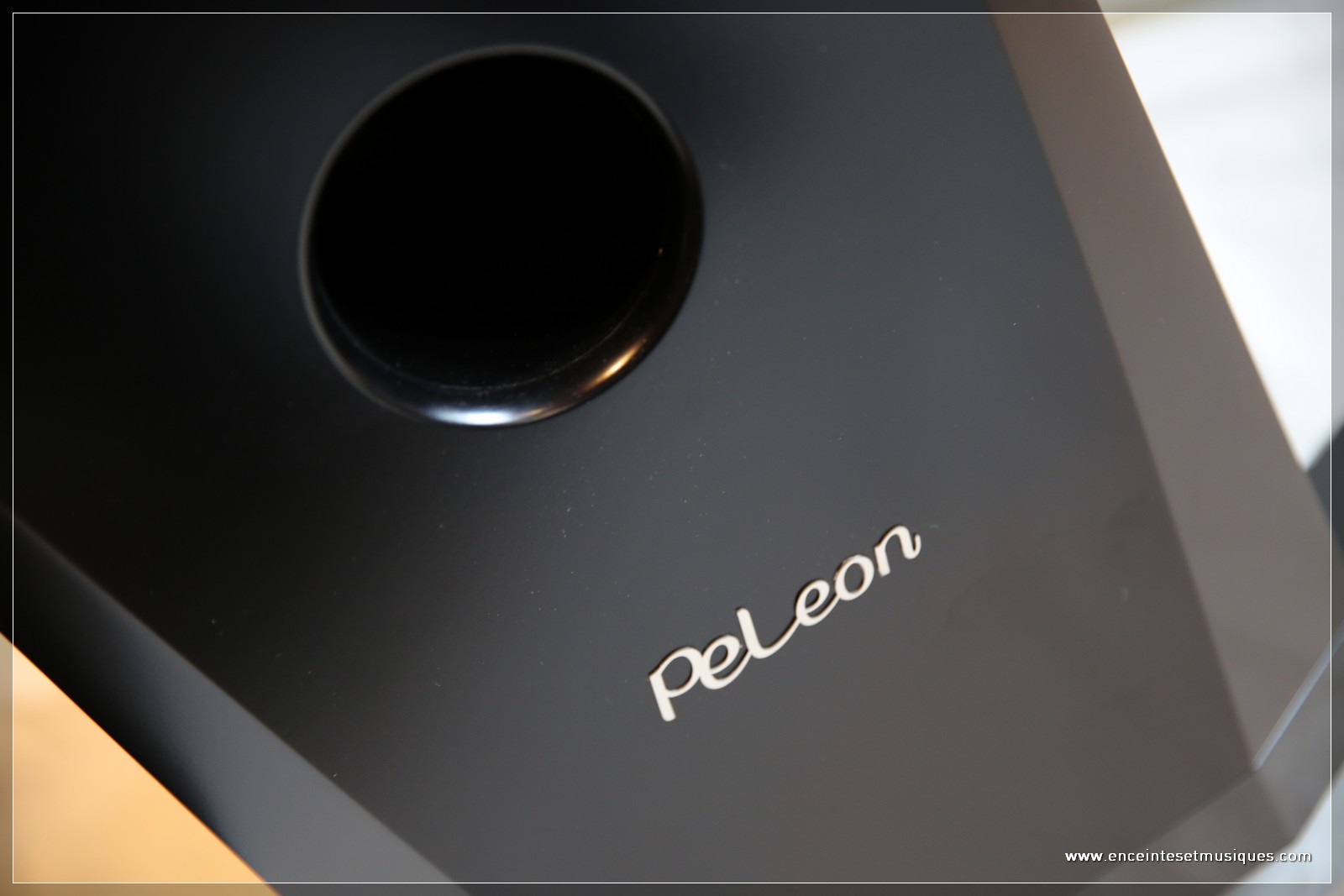 PEL_INTEGRALE_enceinte_colonne_33