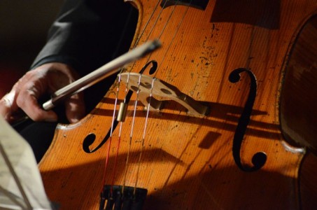 Concert La Chambre d'Amis, le 7 juin 2013 à Paris: l'ivre d'images