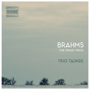 "Aimez-vous Brahms ?": alors il y a des choses pour vous à Paris ce mardi 20 mai 2014
