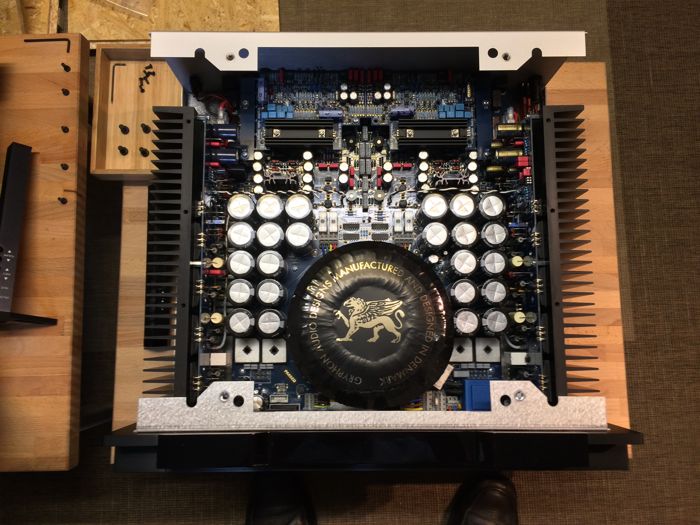 Diablo 300 the Gryphon amplificateur-14