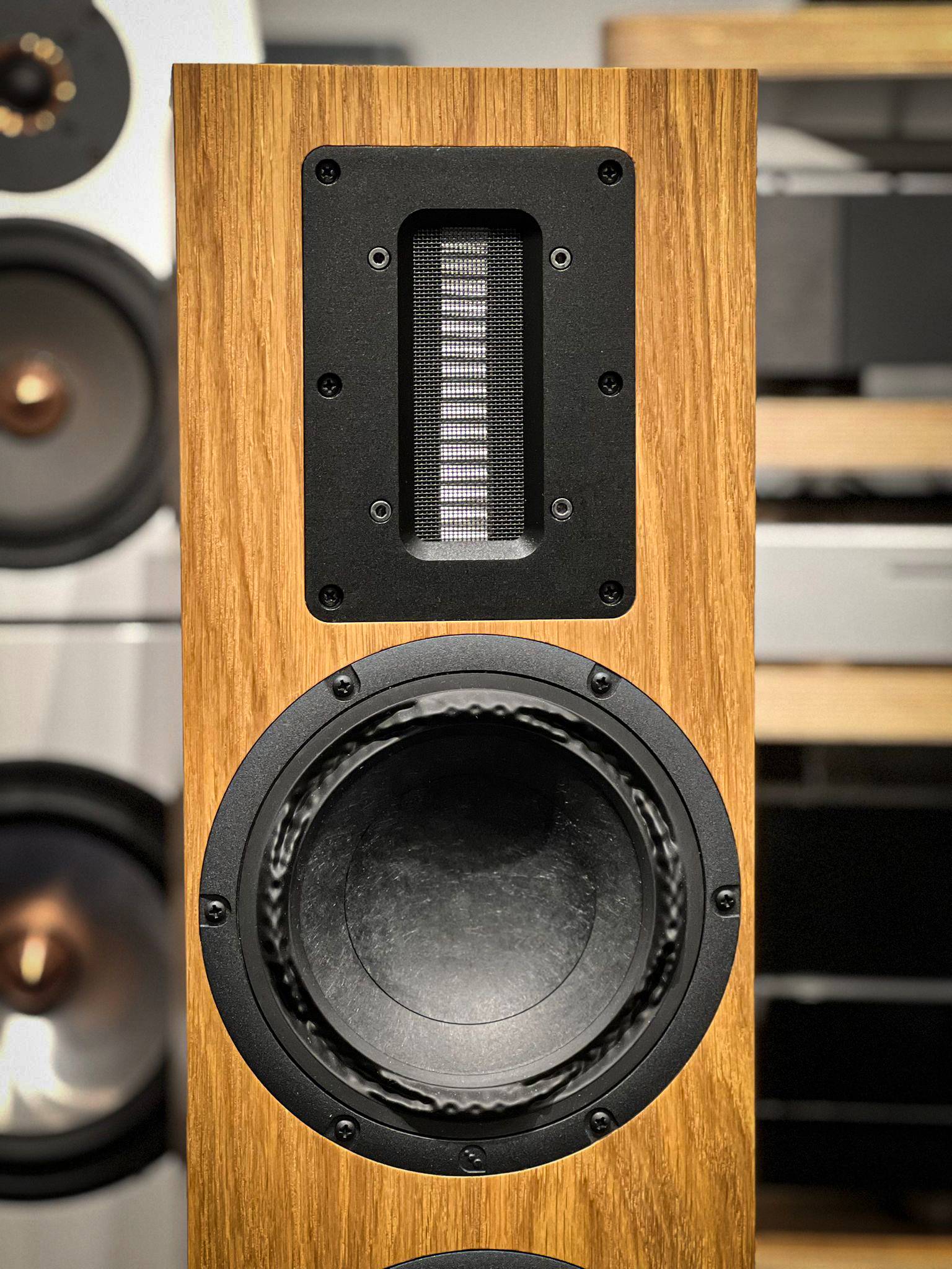OePhi Immanence 2.5 loudspeaker