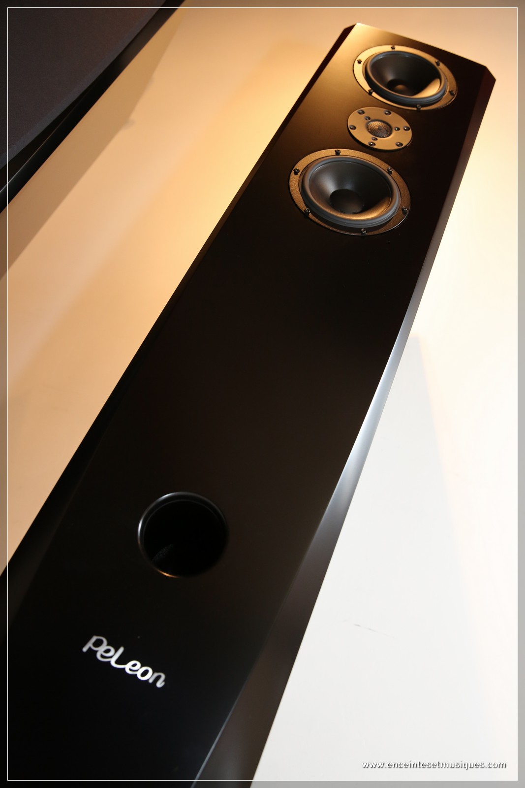 PEL_INTEGRALE_enceinte_colonne_31