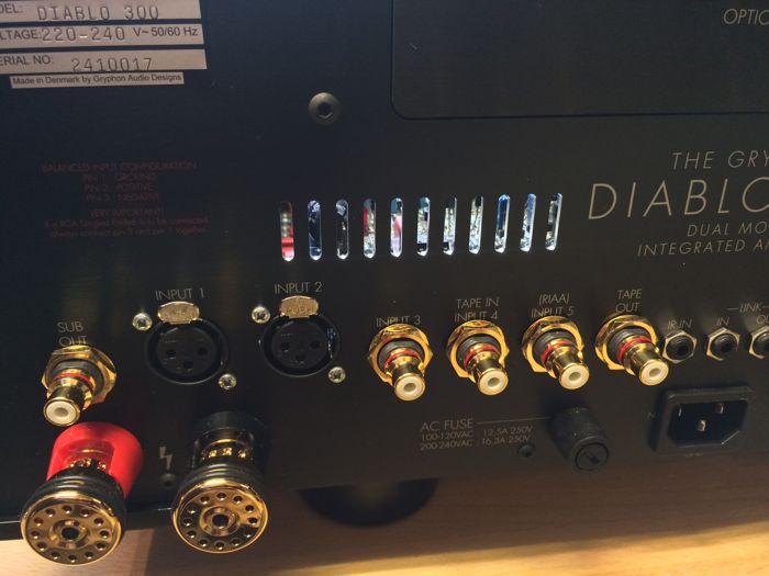Diablo 300 the Gryphon amplificateur-35